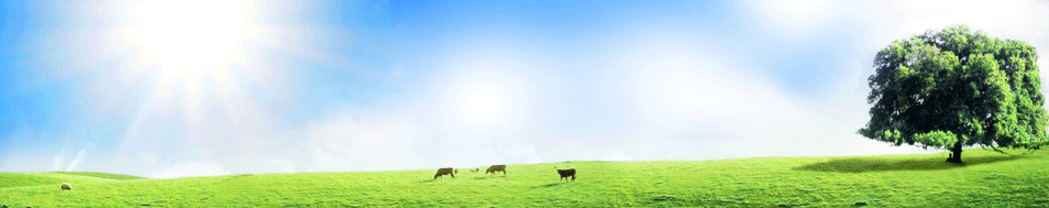 �������Ҹ����ʳƷ���޹�˾