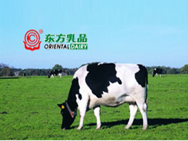 �����|����I���޹�˾