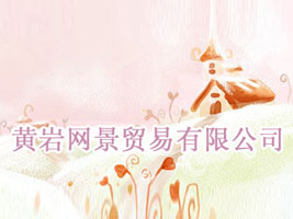 �S�r�W���Q�����޹�˾