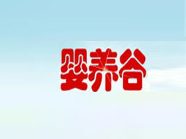 ������ט�����Ƽ����޹�˾