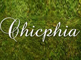 �㽭ٻ�����I���޹�˾