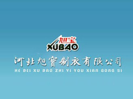 �ӱ����������޹�˾