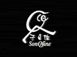 �V���Н����Q�����޹�˾