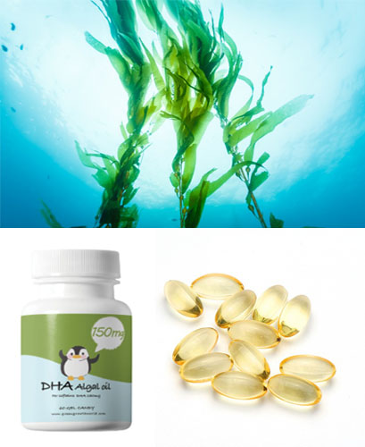 ����(gu��)DHA�����N��