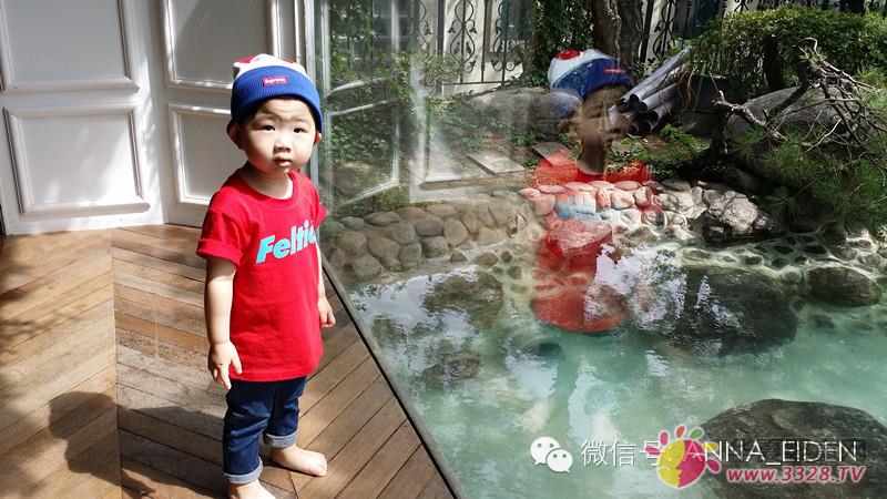 �n��С����̫�����ȡ�����һ����ܰ���&�۵����{ɫ����һ�ӵľ���