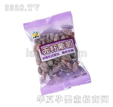 �����ݟo������