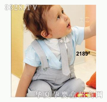 ��ʹ����2189�����