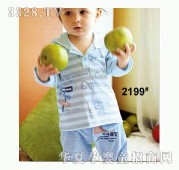 ��ʹ����2199�����