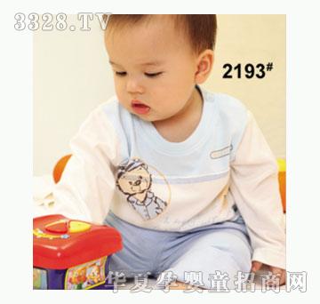 ��ʹ����2193�����