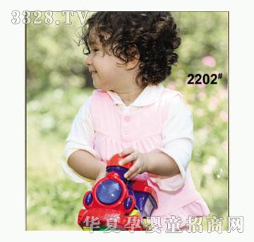 ��ʹ����2202�����