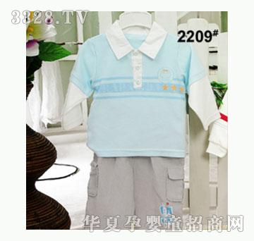 ��ʹ����2209�����