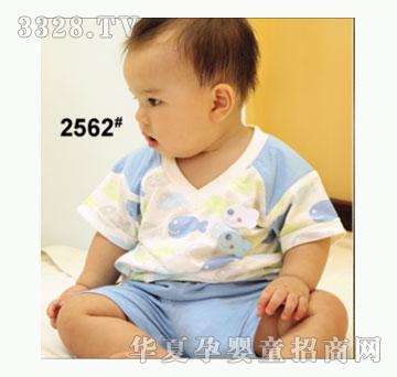 ��ʹ����2562�����