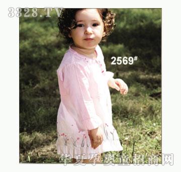 ��ʹ����2569�����