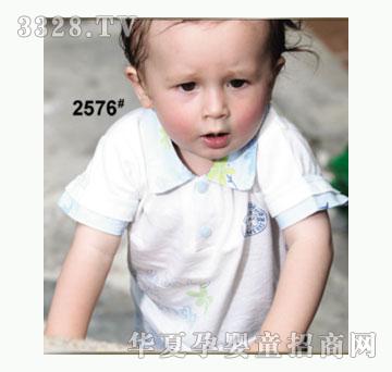 ��ʹ����2576�����