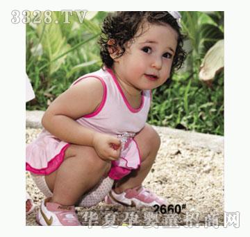 ��ʹ����2660�����