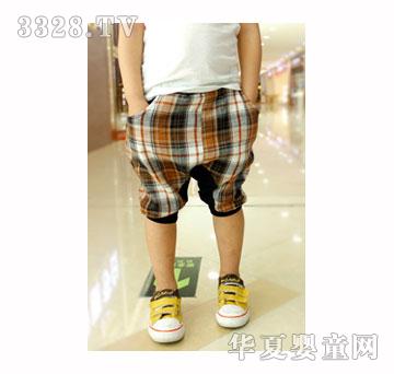 ���������Sɫ����ѝ