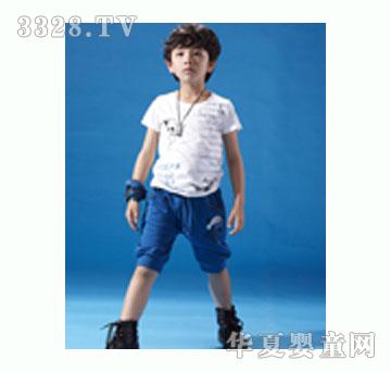 ����2013���Ă���ӡ�DT��