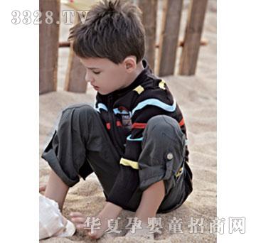 ����2012����-2012�ﶬ-12