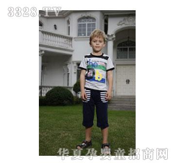 ���DB���䣨��ң����ϼt����ɫ��