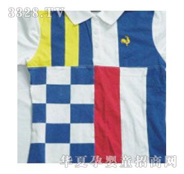 ��̩���Ķ�����