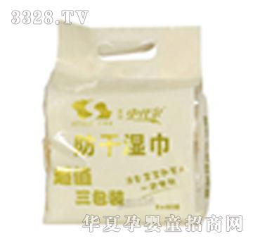 ����ʷ�������ɝ񼈽�SJ-P380