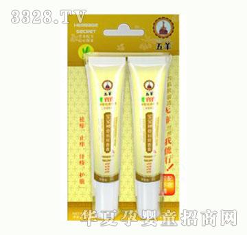 ���򌚌������������