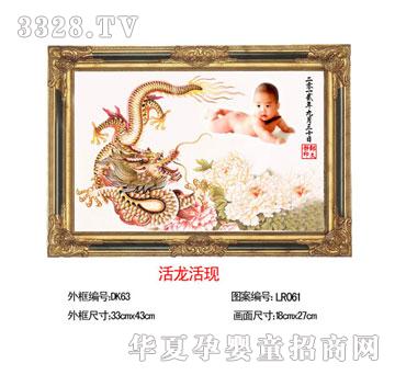 ��Ѿ�ۋ������F--̥ë�����C