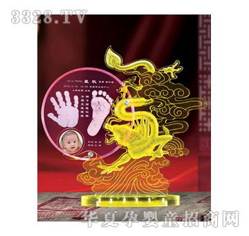 ��Ѿ�ۋ�Y-ʢ���v������ӡ