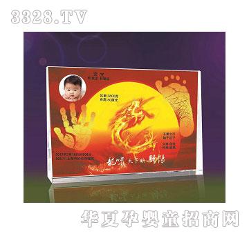 ����ĸ��o(j��)��Ʒ���[����