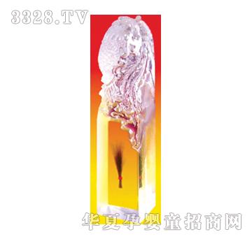 ϲ��һ�w�P��