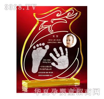 ϲ���RX6396��־���ƣ�����