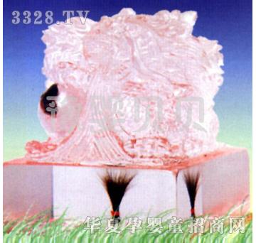 ԥ��ؐؐ�����t��̥ë�£�