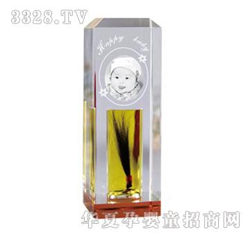 ������(n��i)����Ƭ��