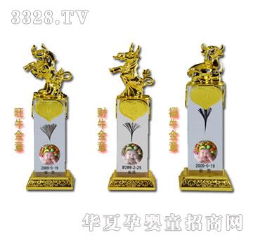 �����Ƽ�����(3)