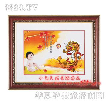 Сë�^���\(y��n)��̥ë��PC-1204