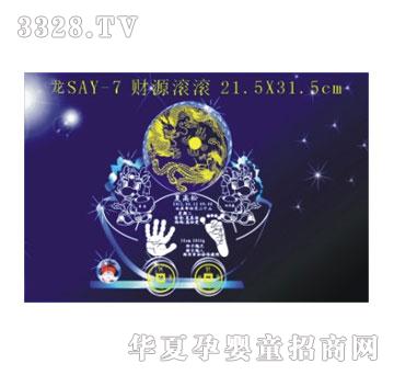 SA�ɐ�ؔ(c��i)Դ�L�L����ӡ