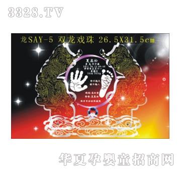 SA�ɐ��p����������ӡ