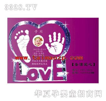 ������CYS-0501ʥ������ˮ�����_ӡ