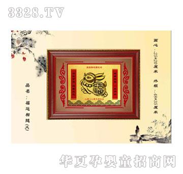 �H�����\���S����