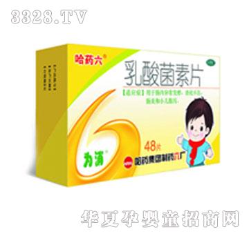 ��ˎ�������������Ƭ