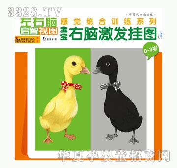 С��̖���X����