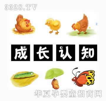 С��̖���L�J֪