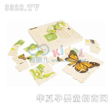 ����e(cu��)��ƴ�D-����