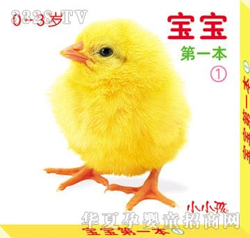 ��48�_(k��i)������һ��