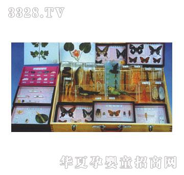 ���~���׃���(sh��)���(bi��o)���̾���