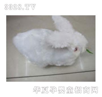 �{(l��n)��ſ��