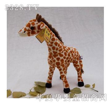 Ĭ��Ʒ��ë�q����L(zh��ng)�i¹