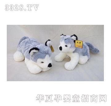 Ĭ���ʿ���������