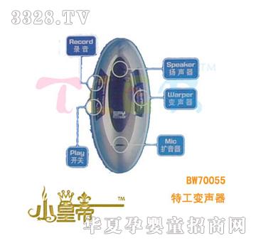 ��A�A���ع�׃��BW70055