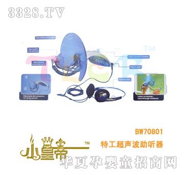 ��A�A���ع������� ��BW70801